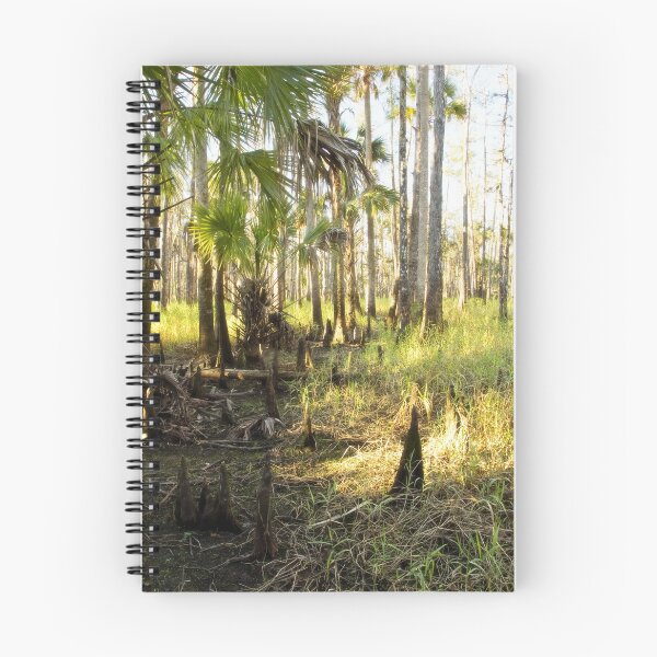 Item preview, Dawn in the Florida Forest designed and sold by Matt Tilghman.