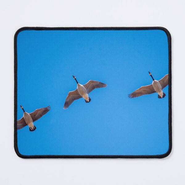 Item preview, Fly By designed and sold by GailDouglas.