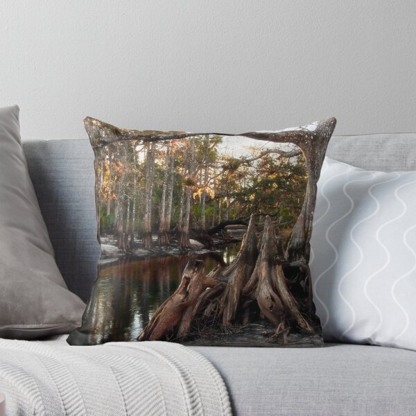 Item preview, Wild Florida - Fisheating Creek designed and sold by Matt Tilghman.