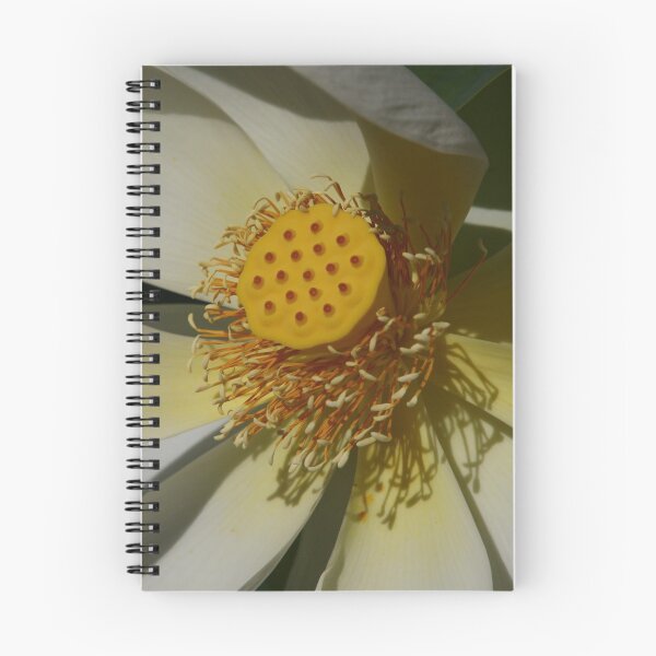 Item preview, Electric Lotus Land 7 designed and sold by beeden.