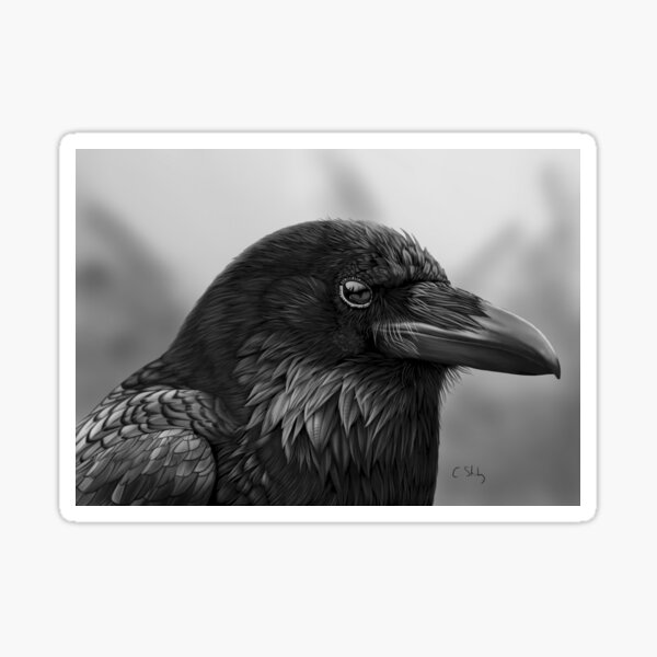 Item preview, Raven Study 01 designed and sold by craigs822.