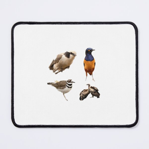 Item preview, Birds Sticker sheet designed and sold by Andie Janik.