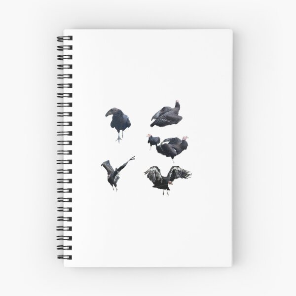 Item preview, Turkey Vultures Sticker sheet designed and sold by Andie Janik.