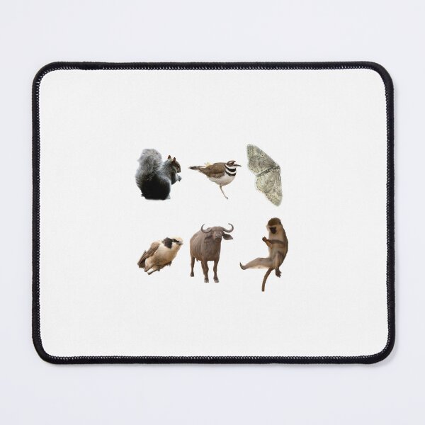 Item preview, Random Animals Sticker sheet designed and sold by Andie Janik.