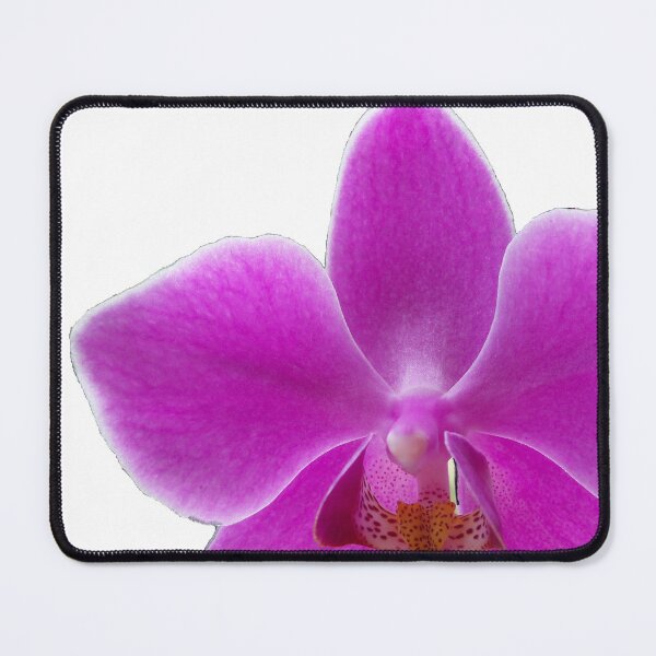 Item preview, Fuchsia Moth Orchid designed and sold by SunnyDazDesign.