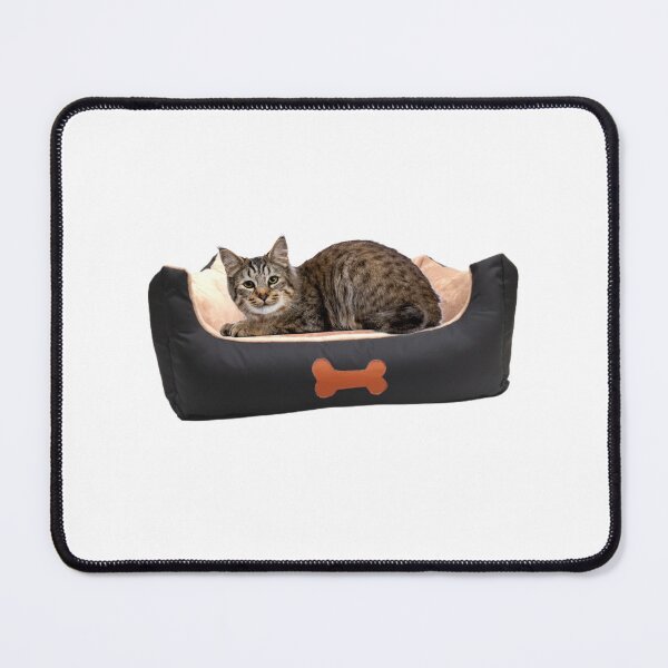 Item preview, Funny Bobcat Meme, Bobcat Pet, Arizona Bobcat In Dog Bed, Bobcat Arizona Dog Bed designed and sold by haRexia.