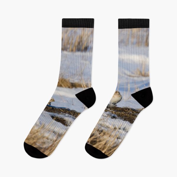 Item preview, Meeting on place. Snow bunting designed and sold by Jouko Lehto Photography.