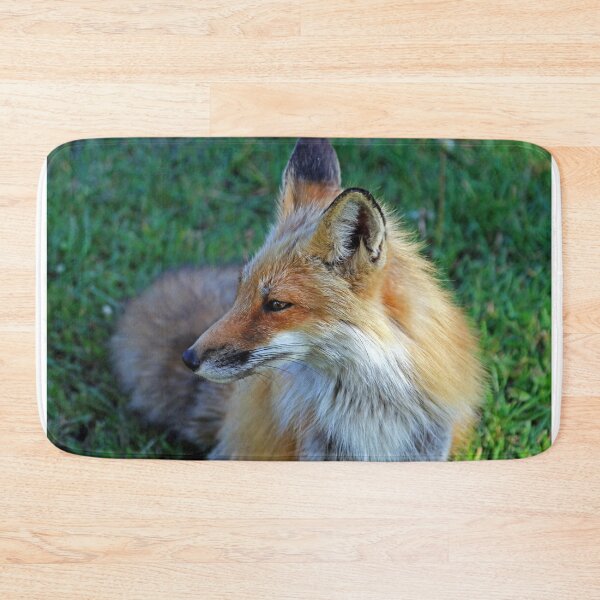 Item preview, Red Fox Profile designed and sold by Deb Oppermann.