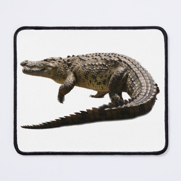 Item preview, Crocodile designed and sold by Andie Janik.