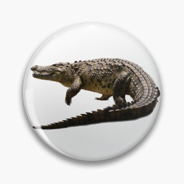 Artikelvorschau, Crocodile entworfen und verkauft von Andie Janik.