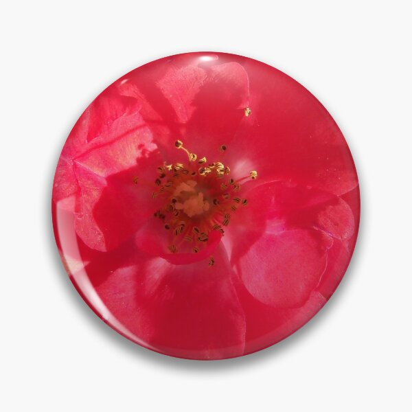 Item preview, Close up of a Coral colored Rose designed and sold by SunnyDazDesign.