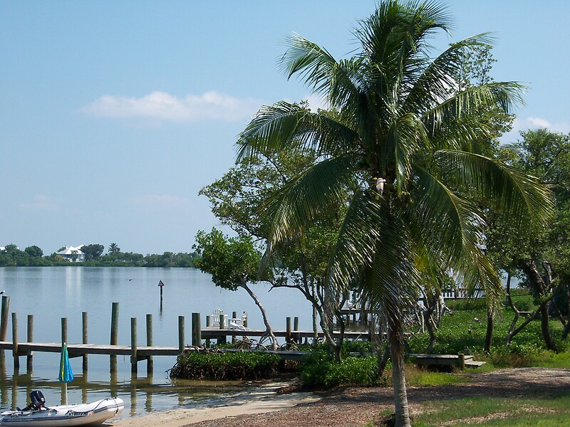 Cabbage Key Gifts & Merchandise Redbubble