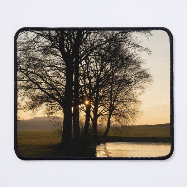 Item preview, Trees, water and golden evening light designed and sold by Heidemüllerin.