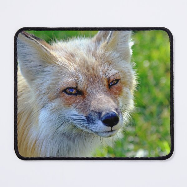 Item preview, The Sad Look designed and sold by Deb Oppermann.