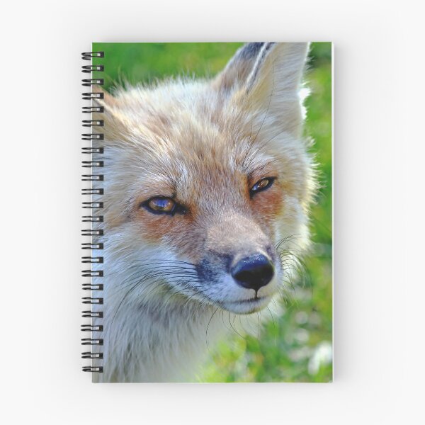 Item preview, The Sad Look designed and sold by Deb Oppermann.