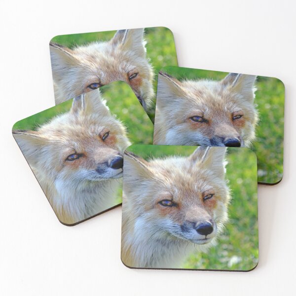 Item preview, The Sad Look designed and sold by Deb Oppermann.