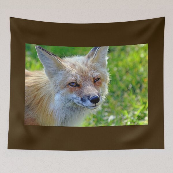 Item preview, The Sad Look designed and sold by Deb Oppermann.