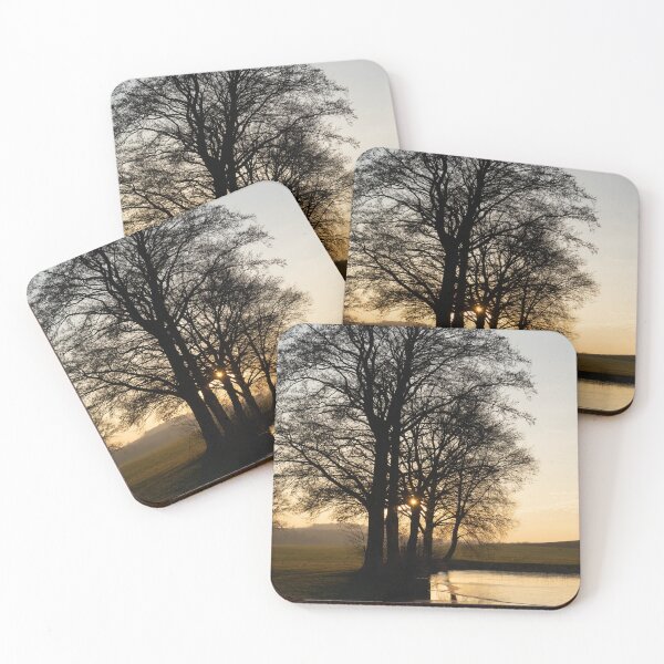 Item preview, Trees, water and golden evening light designed and sold by Heidemüllerin.