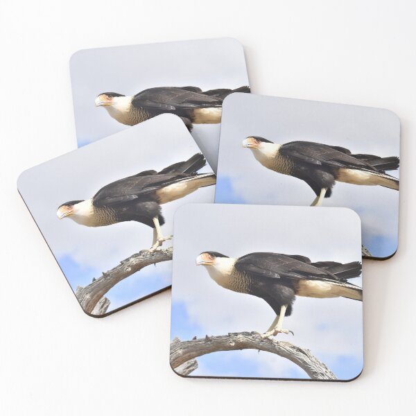 Item preview, Crested Caracara Landing designed and sold by Kathleen Brant.