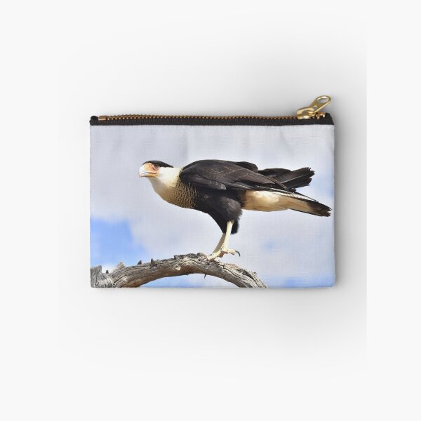 Item preview, Crested Caracara Landing designed and sold by Kathleen Brant.
