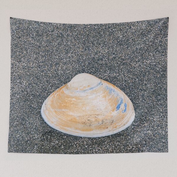 Item preview, Sea Shell designed and sold by carolineartshop.
