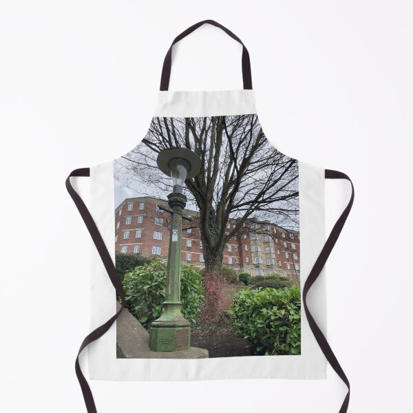 Item preview, Scottish Green Street Lamp And Flats 2 designed and sold by golan22may.