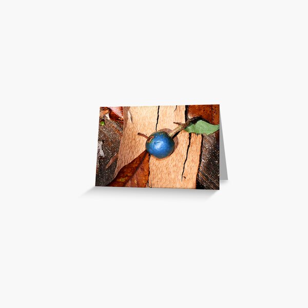 Quandong - what's that?! Greeting Card