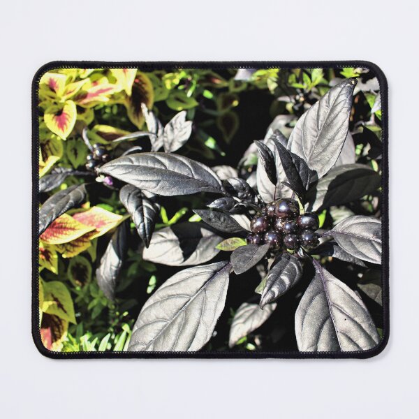 Item preview, The Ornamental Pepper Black Pearl designed and sold by Martha Sherman.