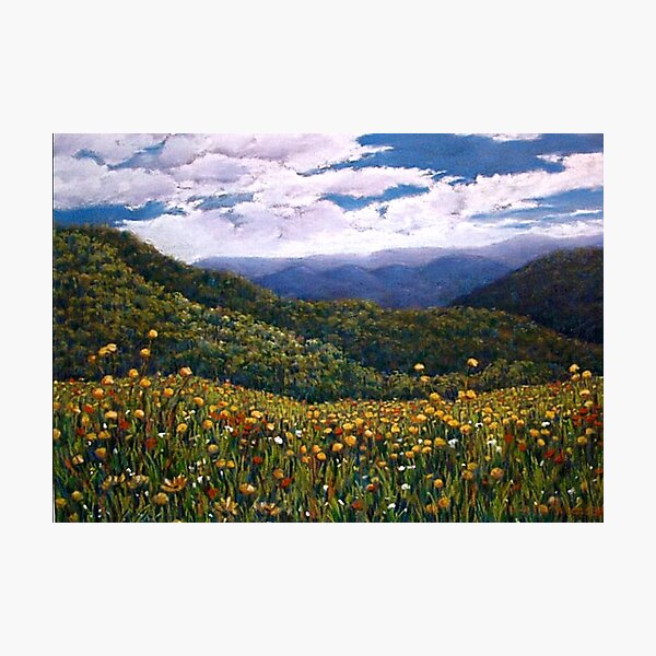 'Wonder of Wildflowers, Mt Buller' Photographic Print