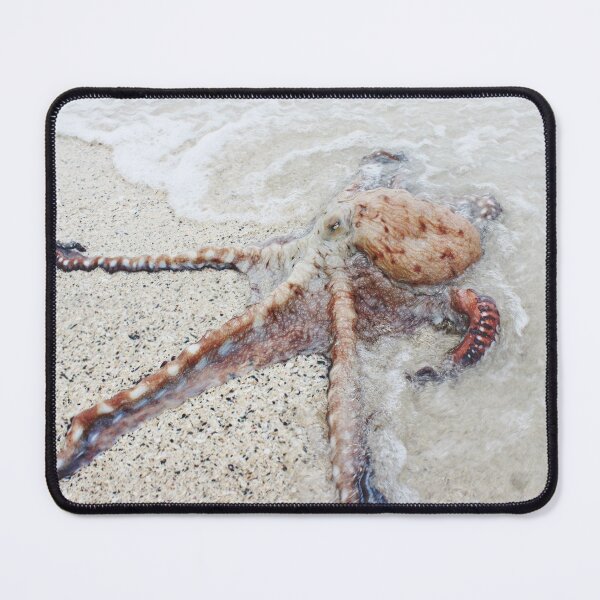 Item preview, Octopus Arriving at the Beach designed and sold by SwagMasterJ10.