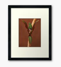 Raindrop Framed Print