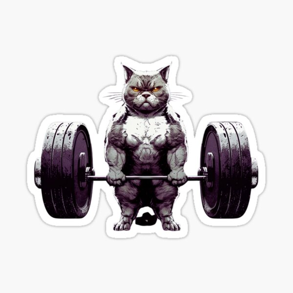 Love Weightlifting Gift For Weightlifters - Weightlifting - Sticker