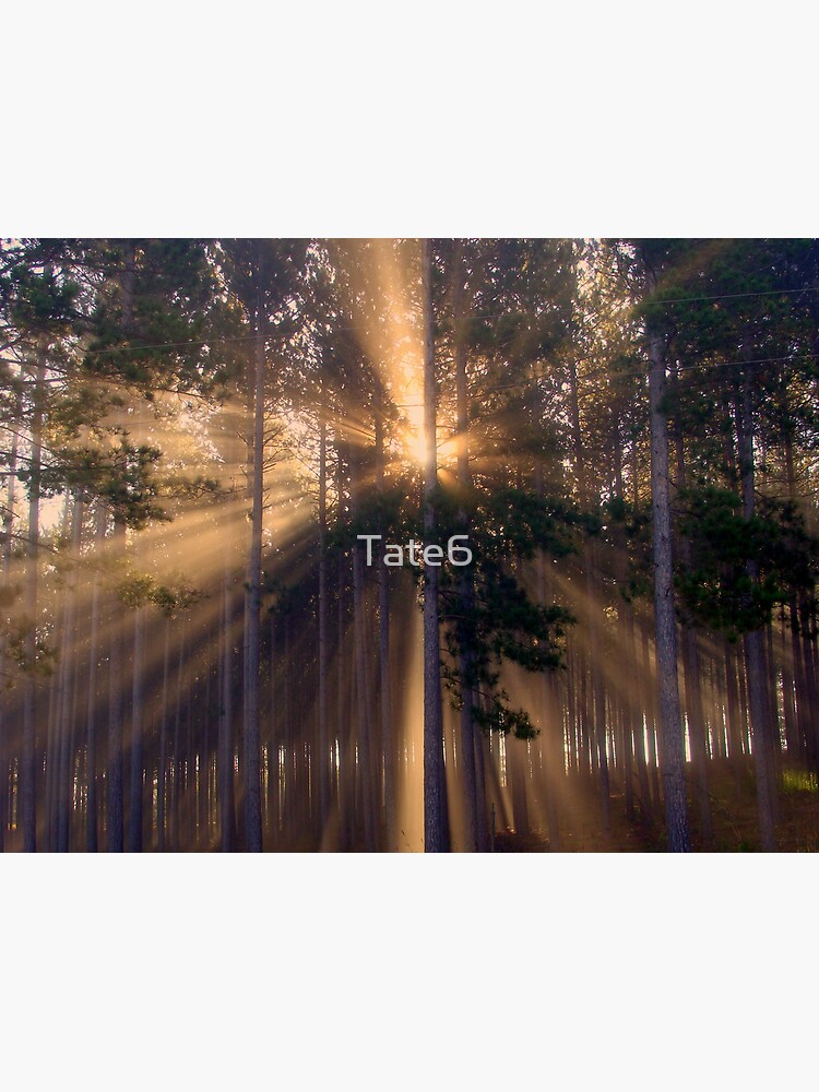 Truth by Tate6