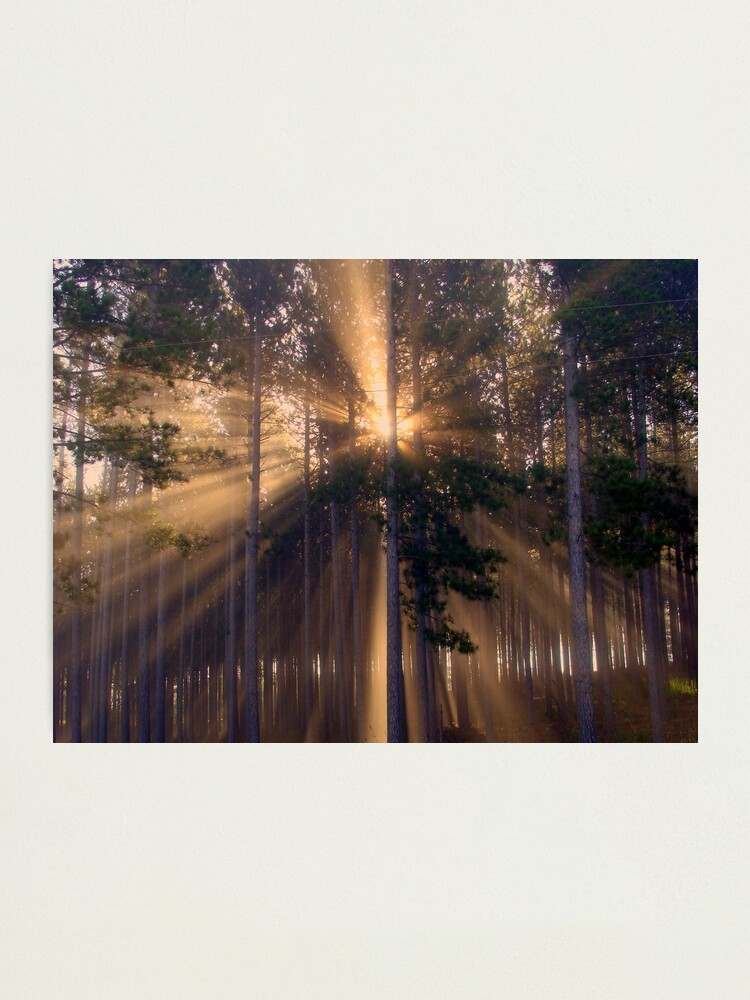Alternate view of Truth Photographic Print