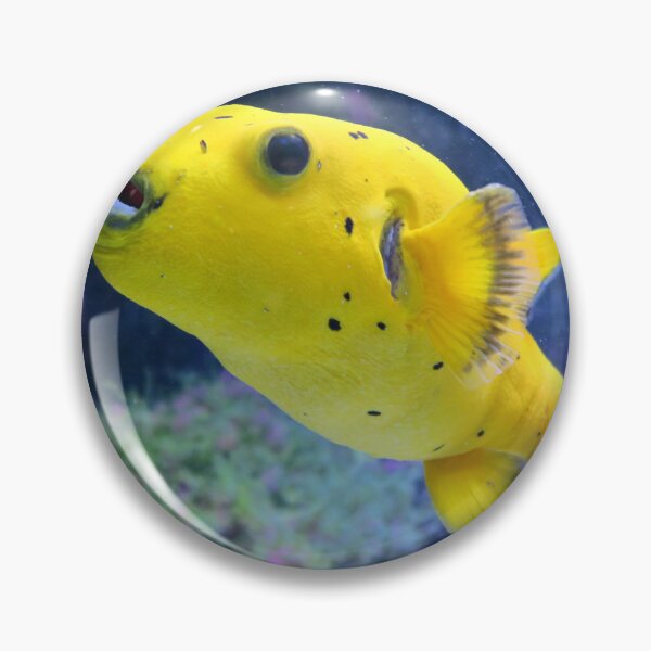 Item preview, Yellow puffer fish designed and sold by DragonDango.