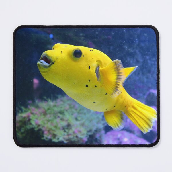 Item preview, Yellow puffer fish designed and sold by DragonDango.