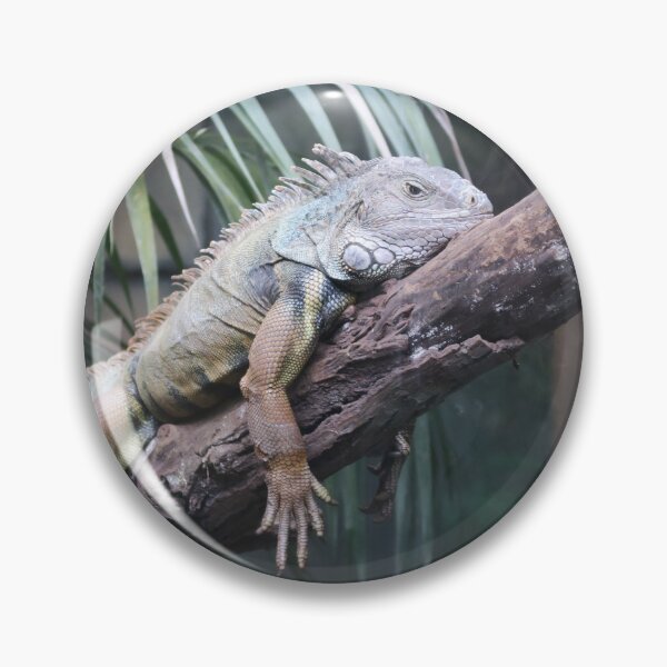 Item preview, Green iguana designed and sold by DragonDango.