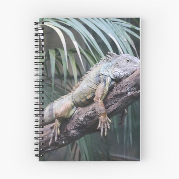 Item preview, Green iguana designed and sold by DragonDango.