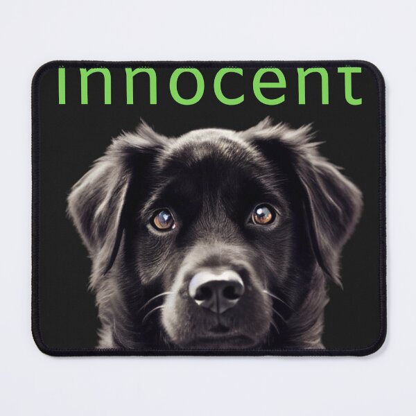 Item preview, Funny Puppy Dog Humorous Inspirational TShirt designed and sold by fmudalier.