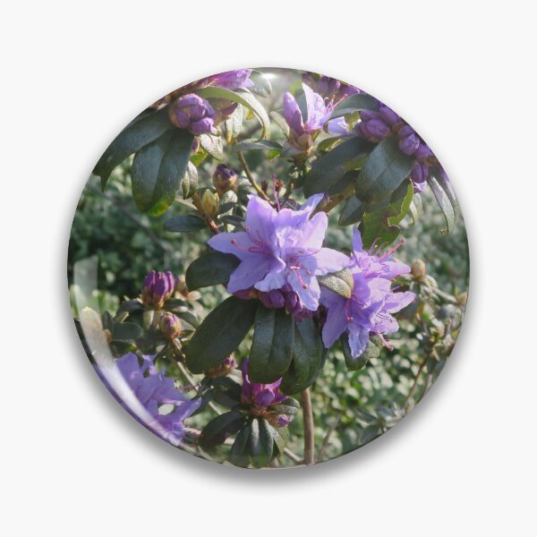 Item preview, Purple rhododendron designed and sold by DragonDango.