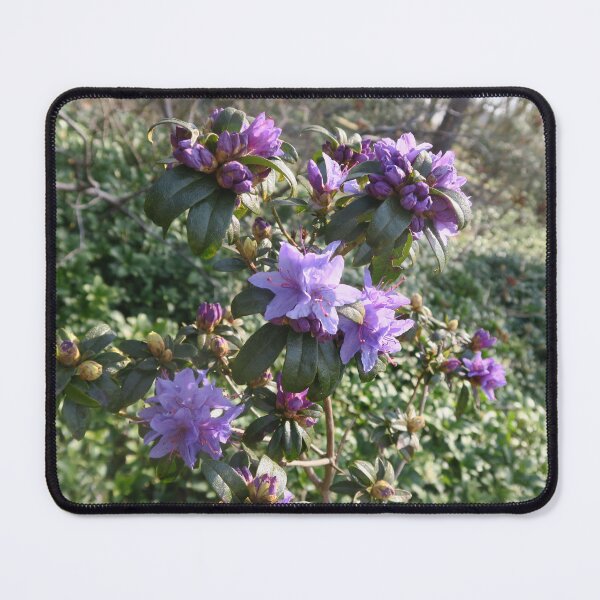 Item preview, Purple rhododendron designed and sold by DragonDango.