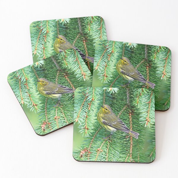 Item preview, Cape May Warbler On Spruce Branch designed and sold by Deb Oppermann.