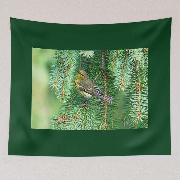Item preview, Cape May Warbler On Spruce Branch designed and sold by Deb Oppermann.