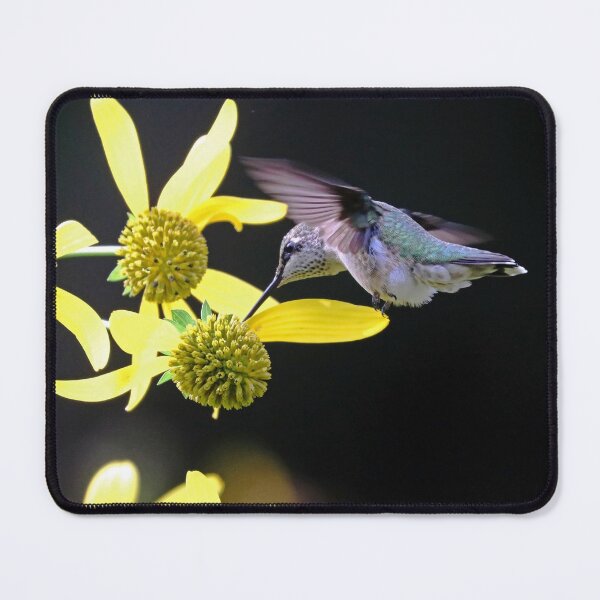 Item preview, Hummingbird On Yellow Flowers In Fall designed and sold by Deb Oppermann.