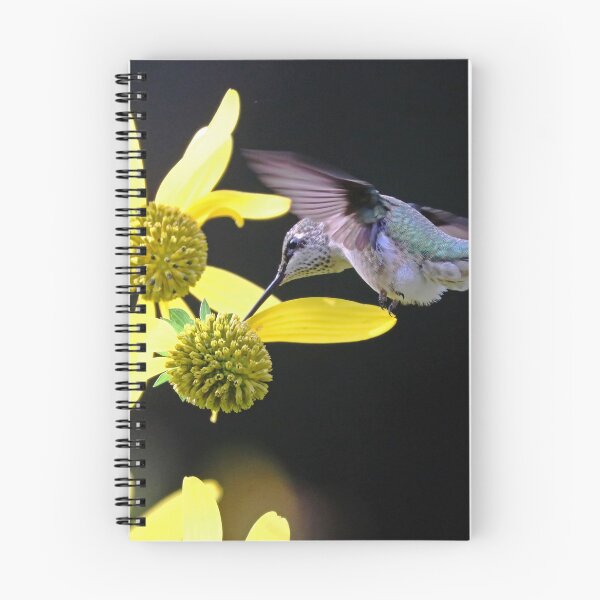 Item preview, Hummingbird On Yellow Flowers In Fall designed and sold by Deb Oppermann.