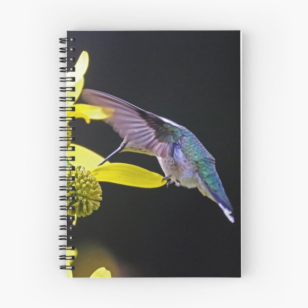 Item preview, Ruby Throated Hummingbird On Yellow Flowers designed and sold by Deb Oppermann.