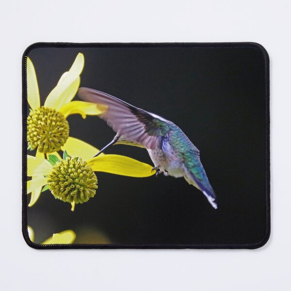 Item preview, Ruby Throated Hummingbird On Yellow Flowers designed and sold by Deb Oppermann.