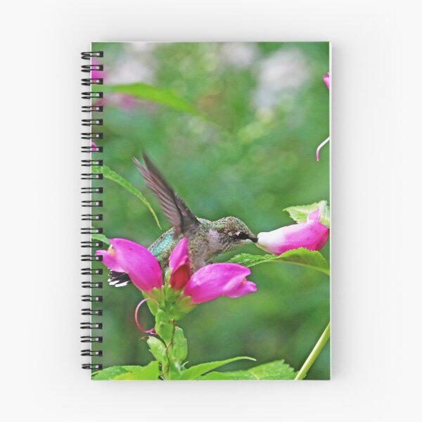 Item preview, The Lure Of The Pink Turtlehead designed and sold by Deb Oppermann.