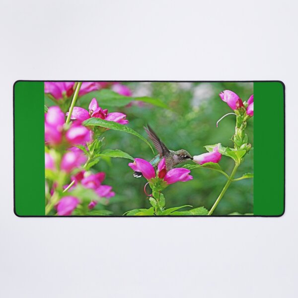 Item preview, The Lure Of The Pink Turtlehead designed and sold by Deb Oppermann.