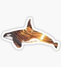 Killer Wave Sticker